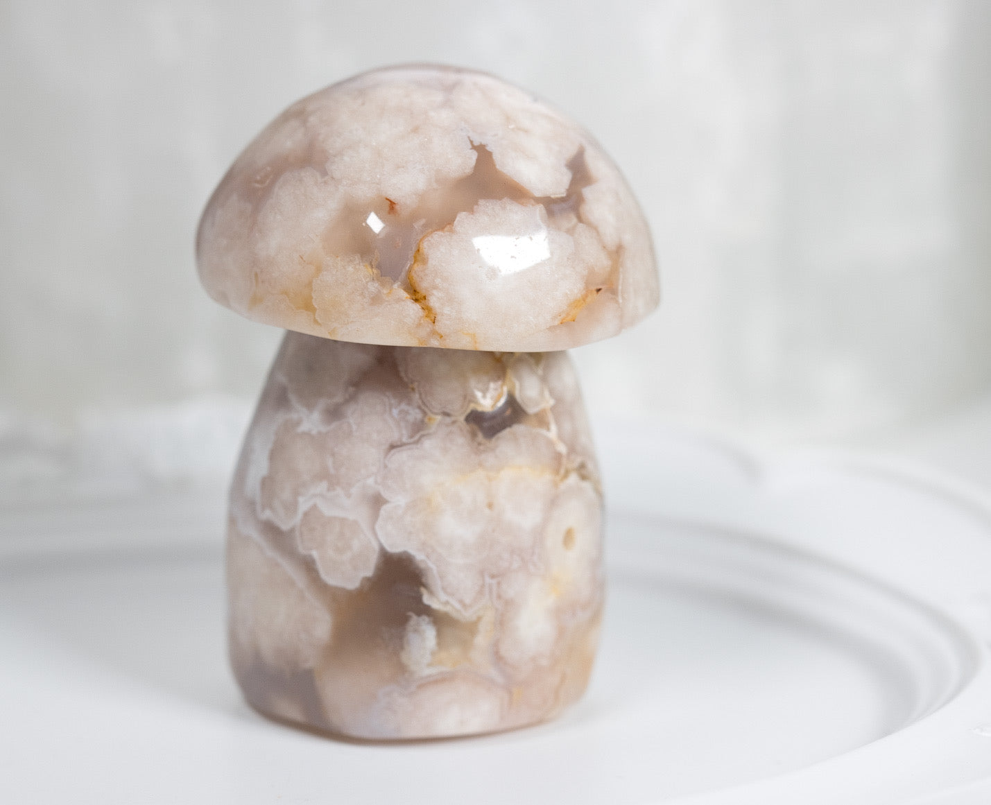Chonky Flower Agate Shroomy