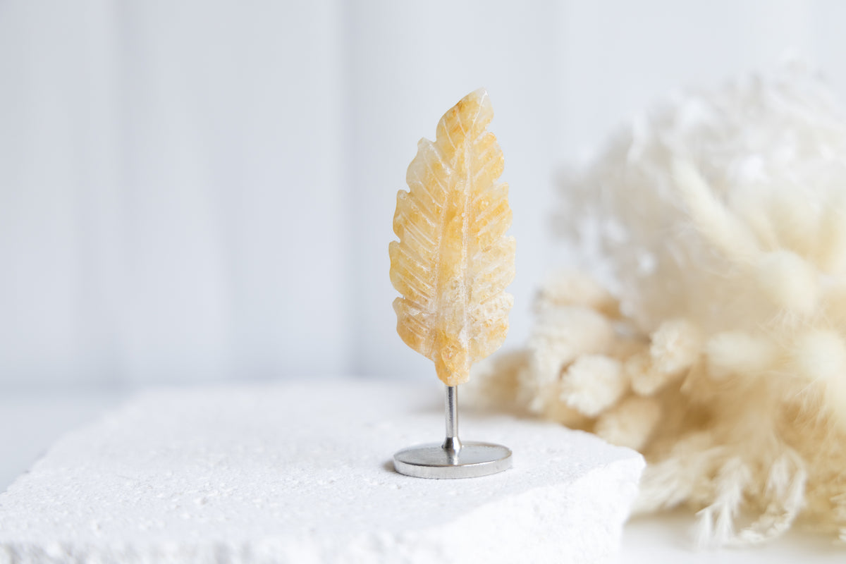 Golden Healer Feather