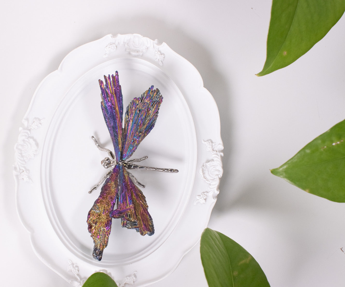 Aura Dragonfly