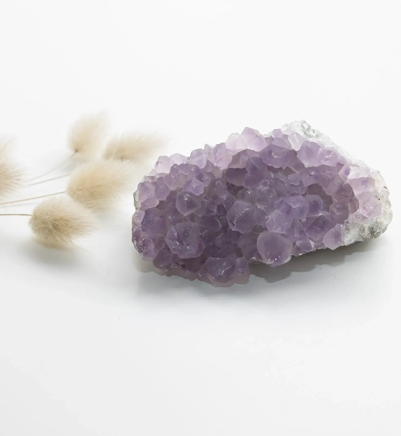 Amethyst Cluster