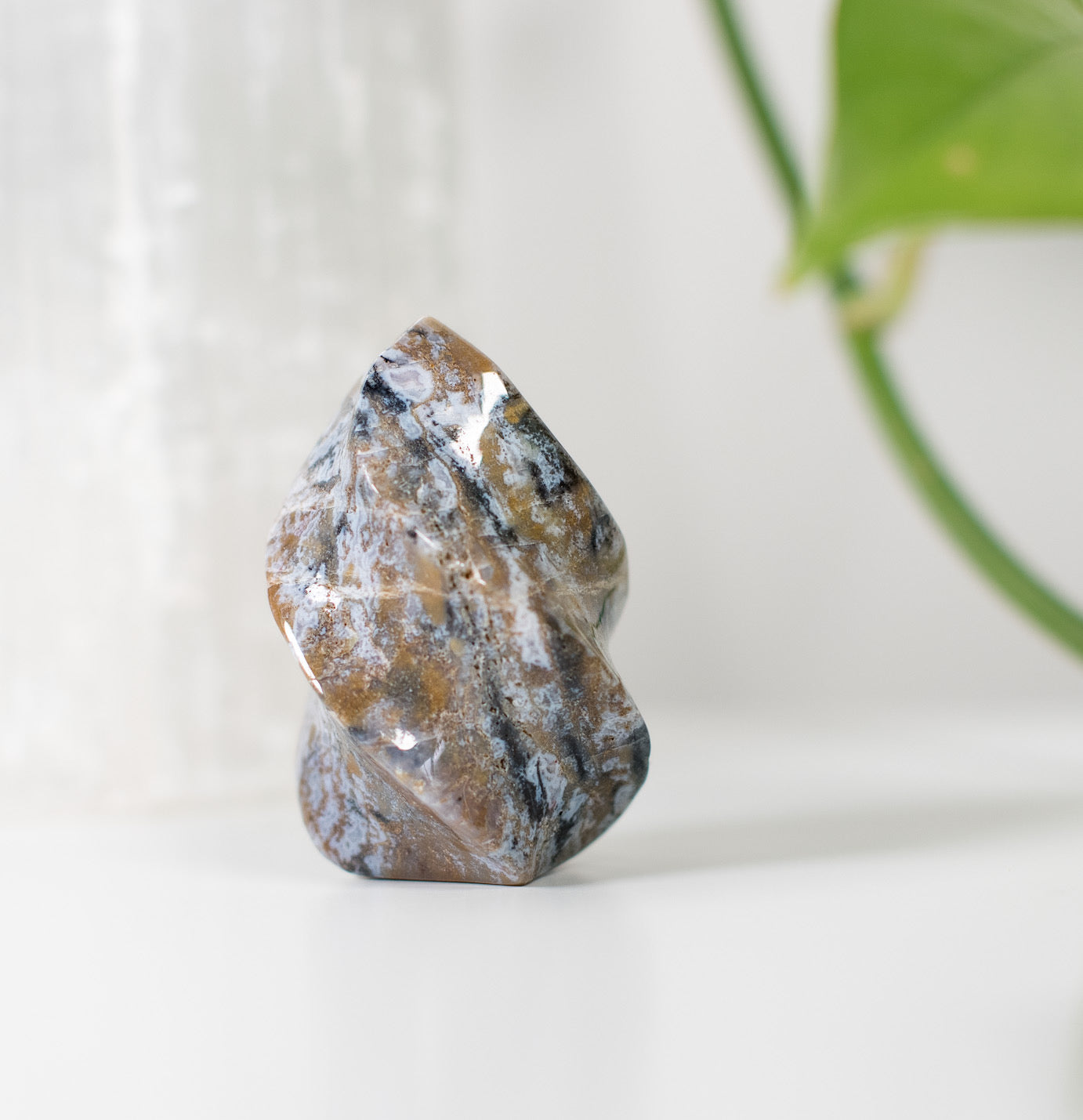 Nurturing Ocean Jasper Flame