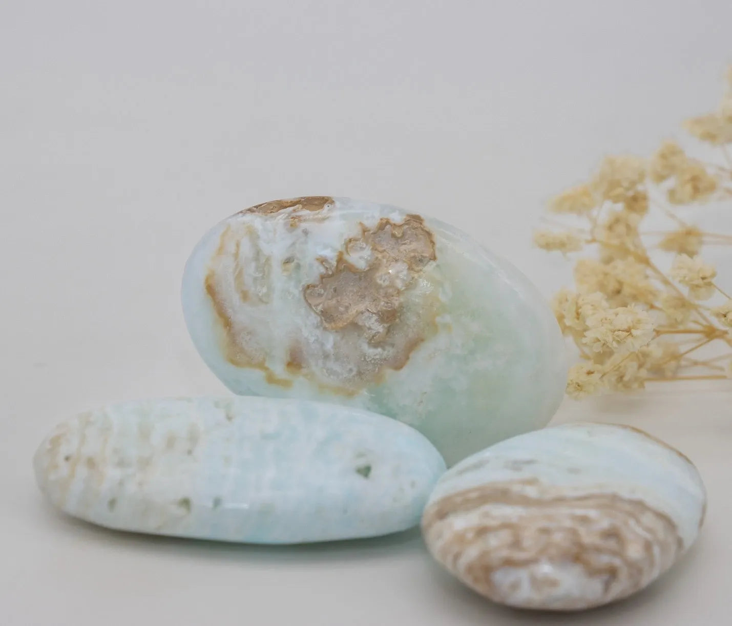 Caribbean Calcite Palm Stone