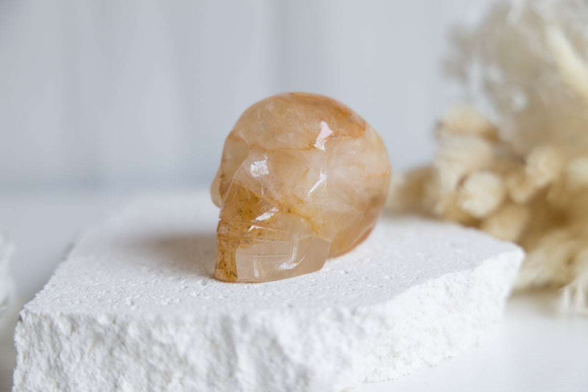 Golden Healer Skull