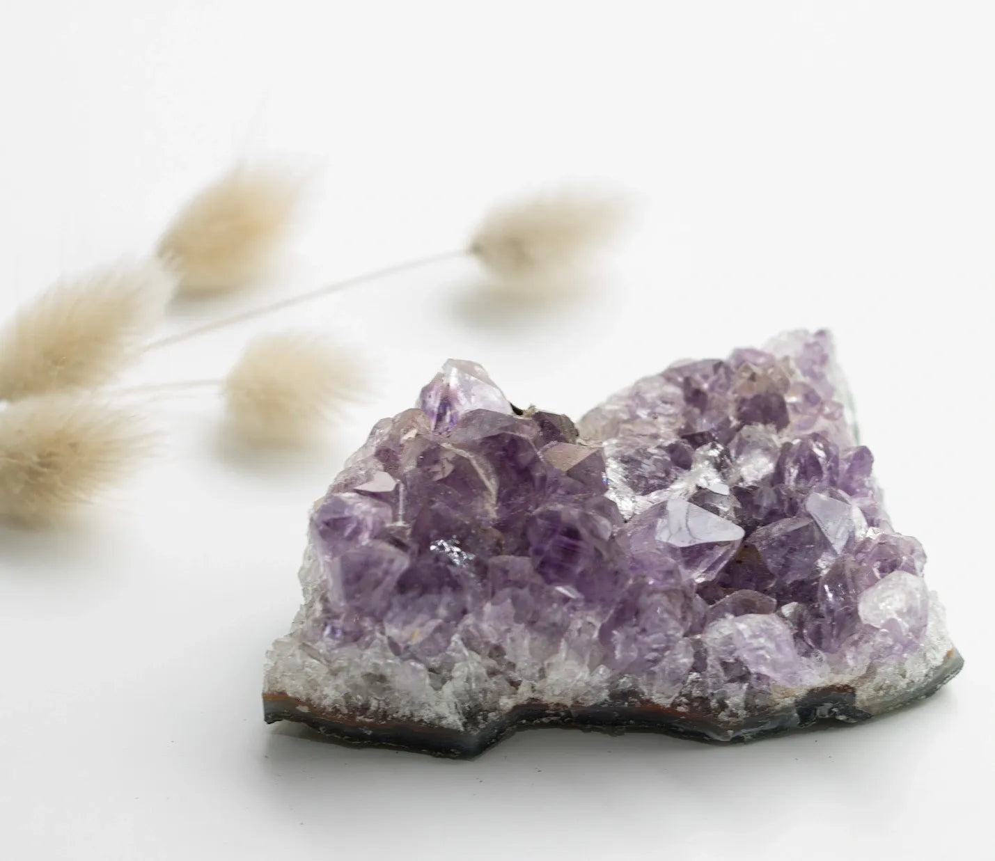 Amethyst Cluster