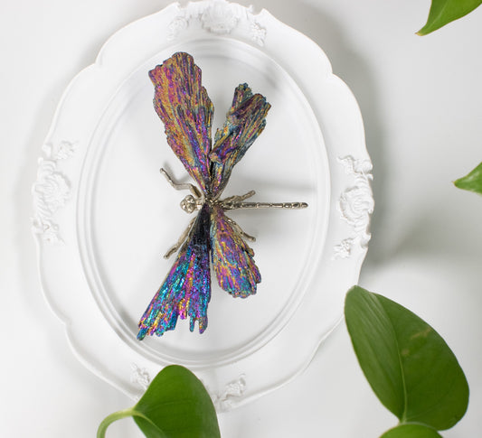 Aura Dragonfly