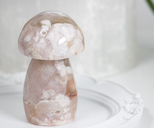 Chonky Flower Agate Shroomy