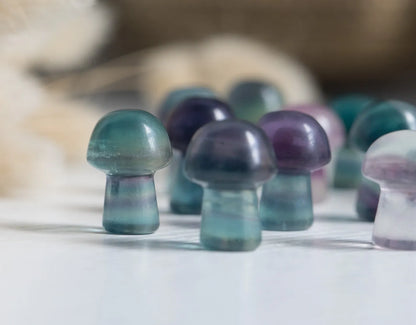 Mini Rainbow Fluorite Mushroom