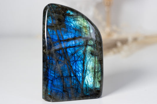 Gorgeous High Flash Labradorite Freeform