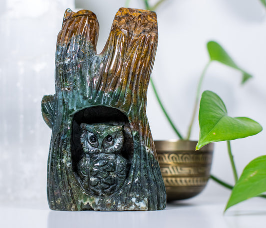 Enchanted Ocean Jasper Owl