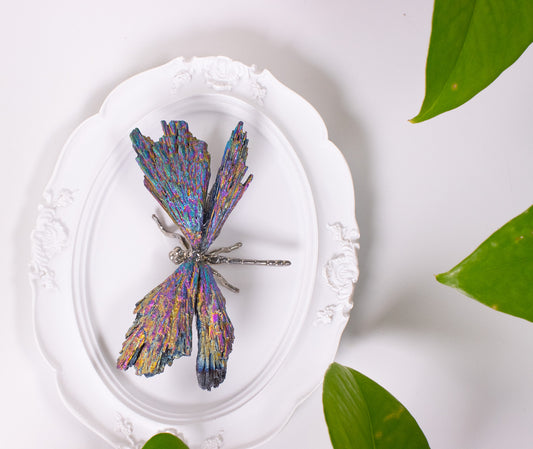 Aura Dragonfly