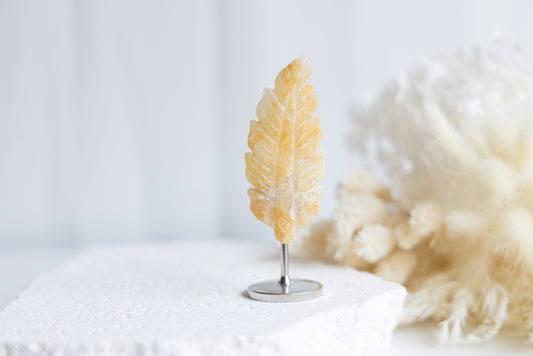 Golden Healer Feather