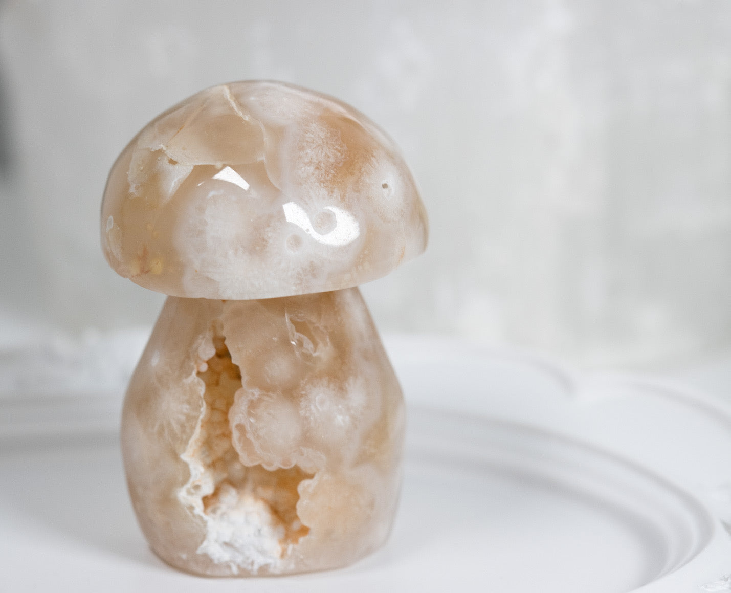 Chonky Druzy Flower Agate Shroomy