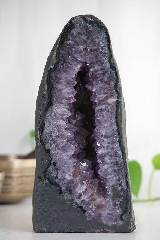 Stunning 5.7kg Amethyst Cathedral