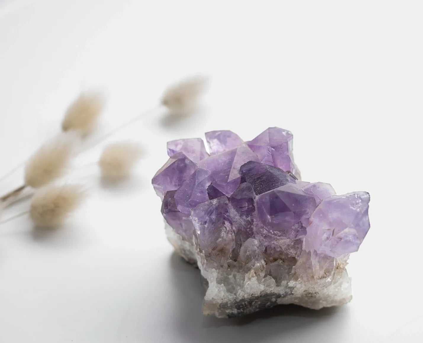 Amethyst Cluster