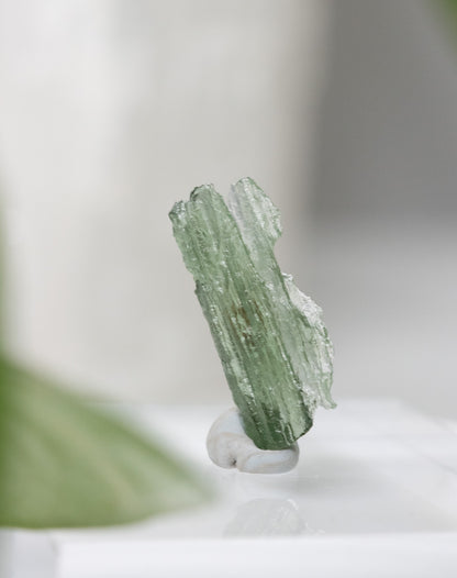 Moldavite Certified Genuine Specimen
