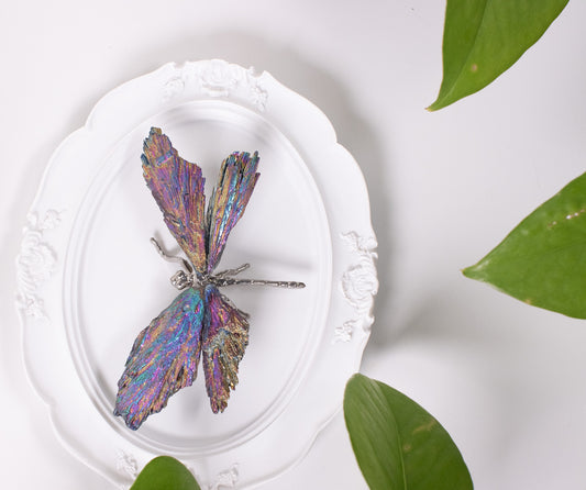 Aura Dragonfly