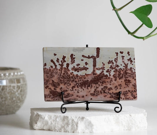 Picture Jasper Slab & Free stand