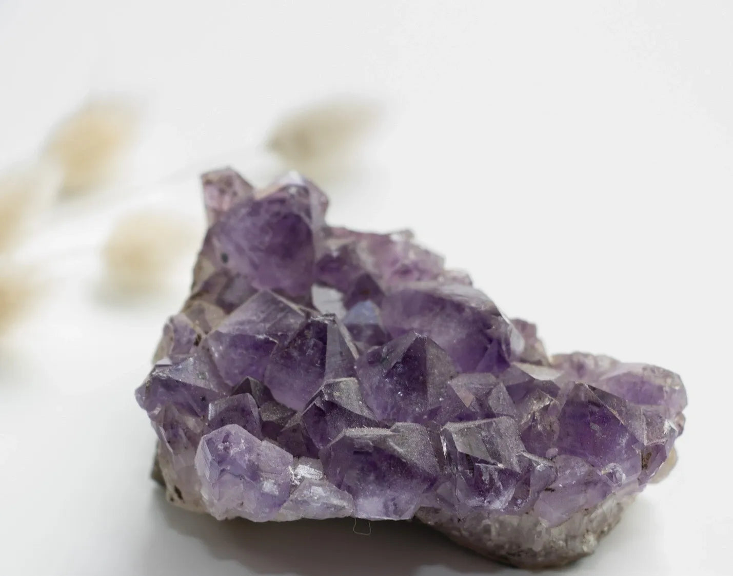 Amethyst Cluster
