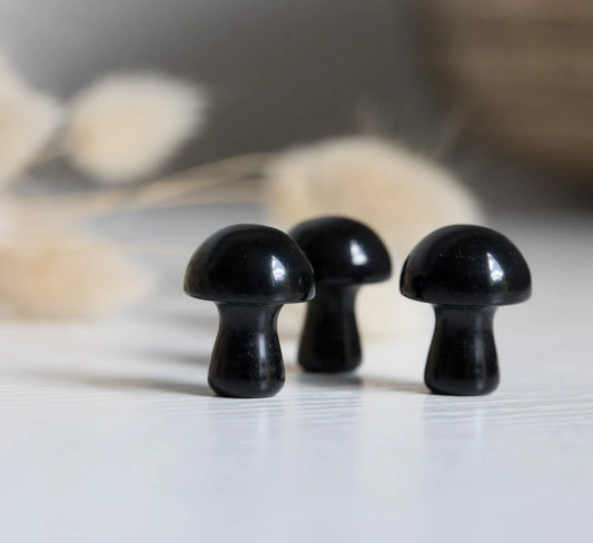 Black Obsidian Mini Mushroom