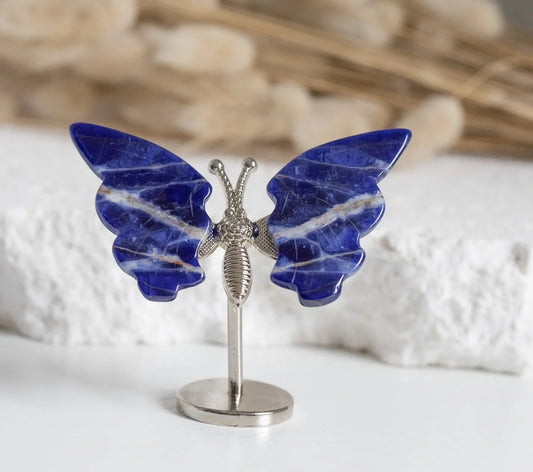 Sodalite mini Butterfly on stand