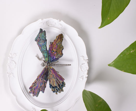 Aura Dragonfly
