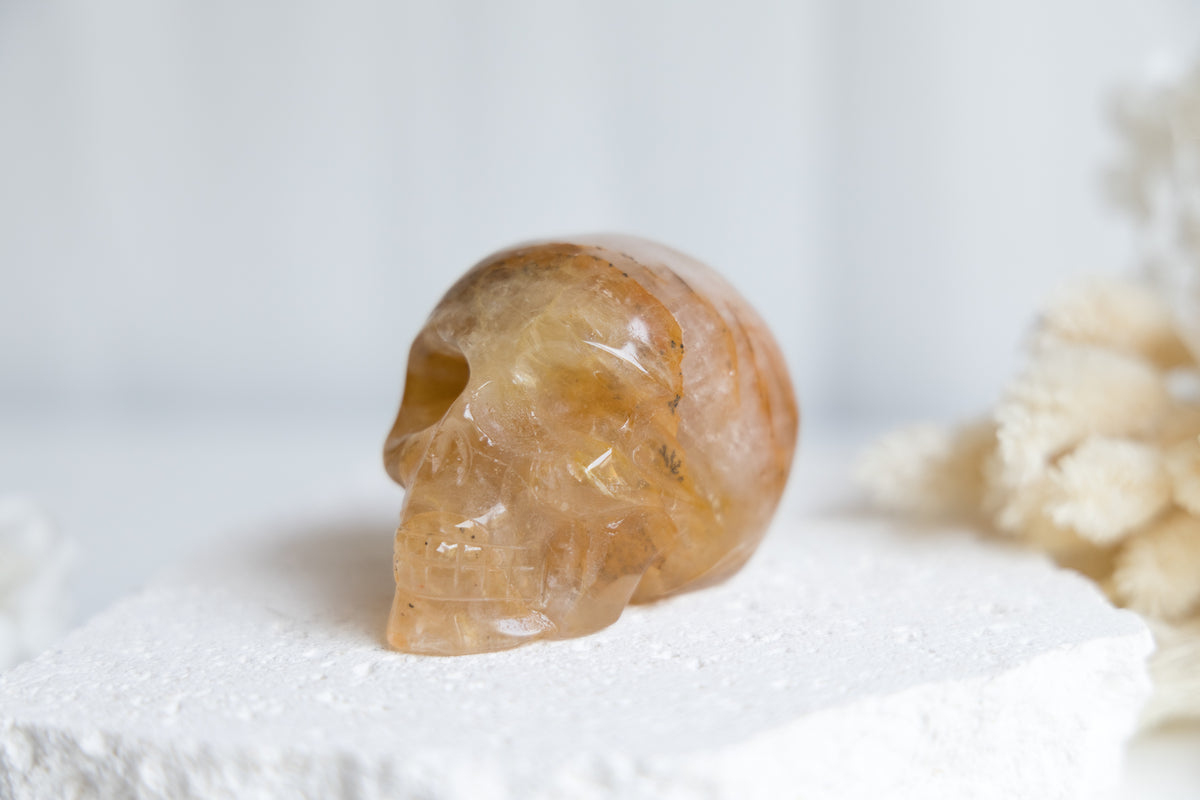 Golden Healer Skull