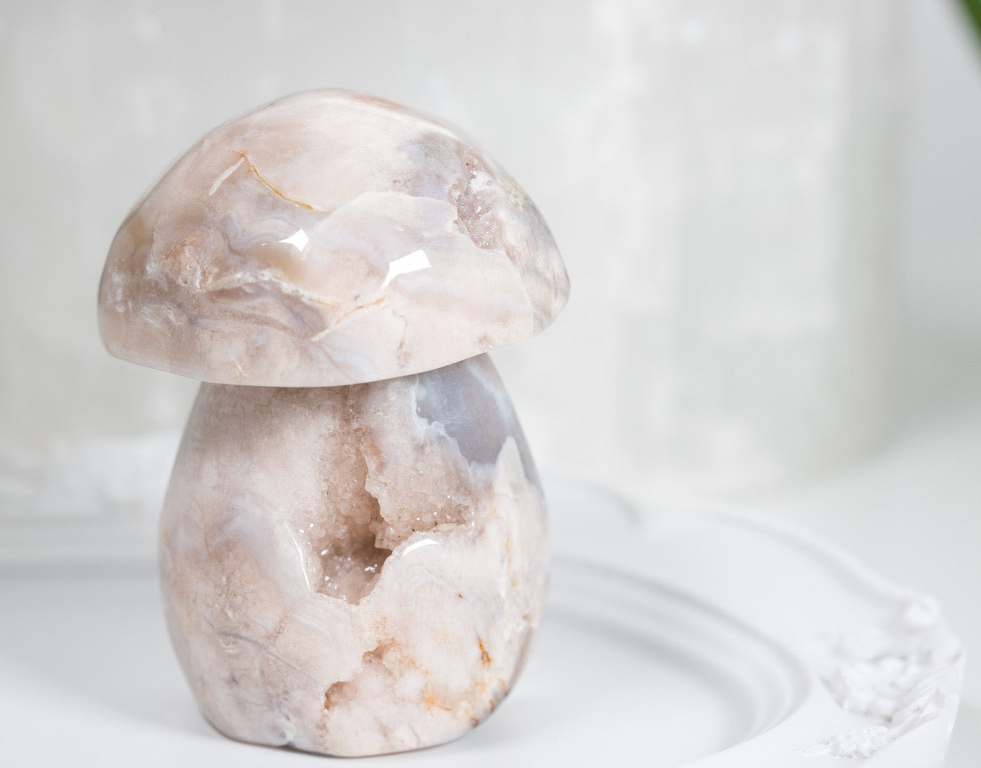Chonky Druzy Flower Agate Shroomy