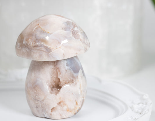Chonky Druzy Flower Agate Shroomy