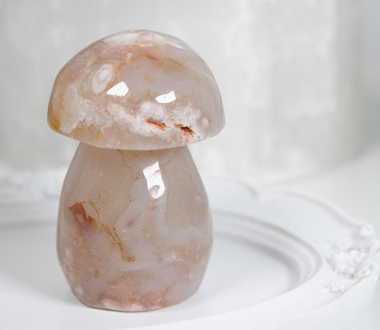 Chonky Flower Agate Shroomy