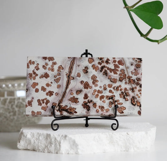 Picture Jasper Slab & Free stand