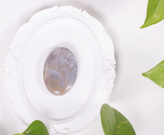 Ocean Jasper Palmstone