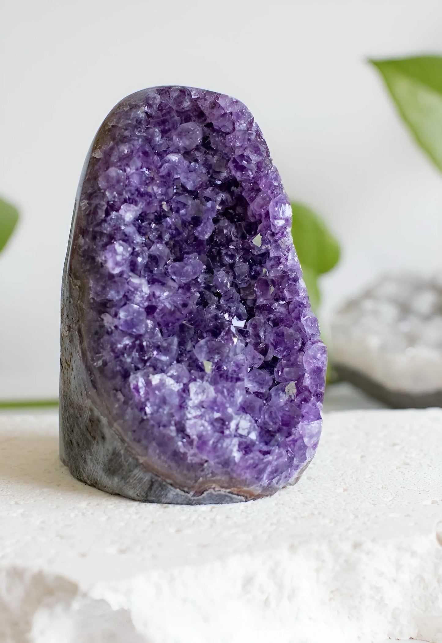Cut Base Amethyst