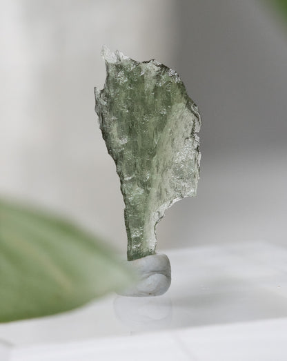 Moldavite Certified Genuine Specimen
